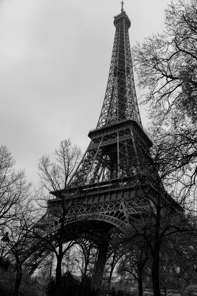 Photograph by Екатерина Позднякова