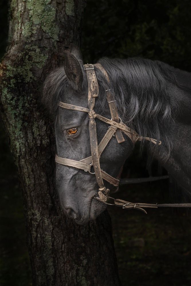 Photograph by Павел Видяйкин