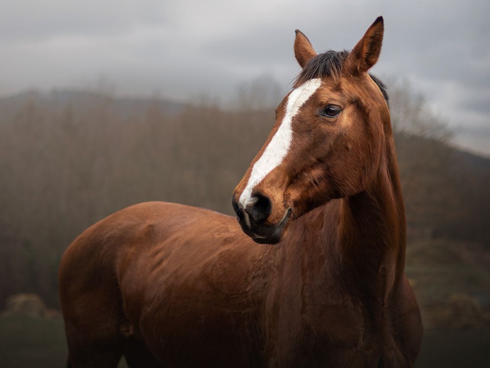 Фотография автора Dorota Hnatová
