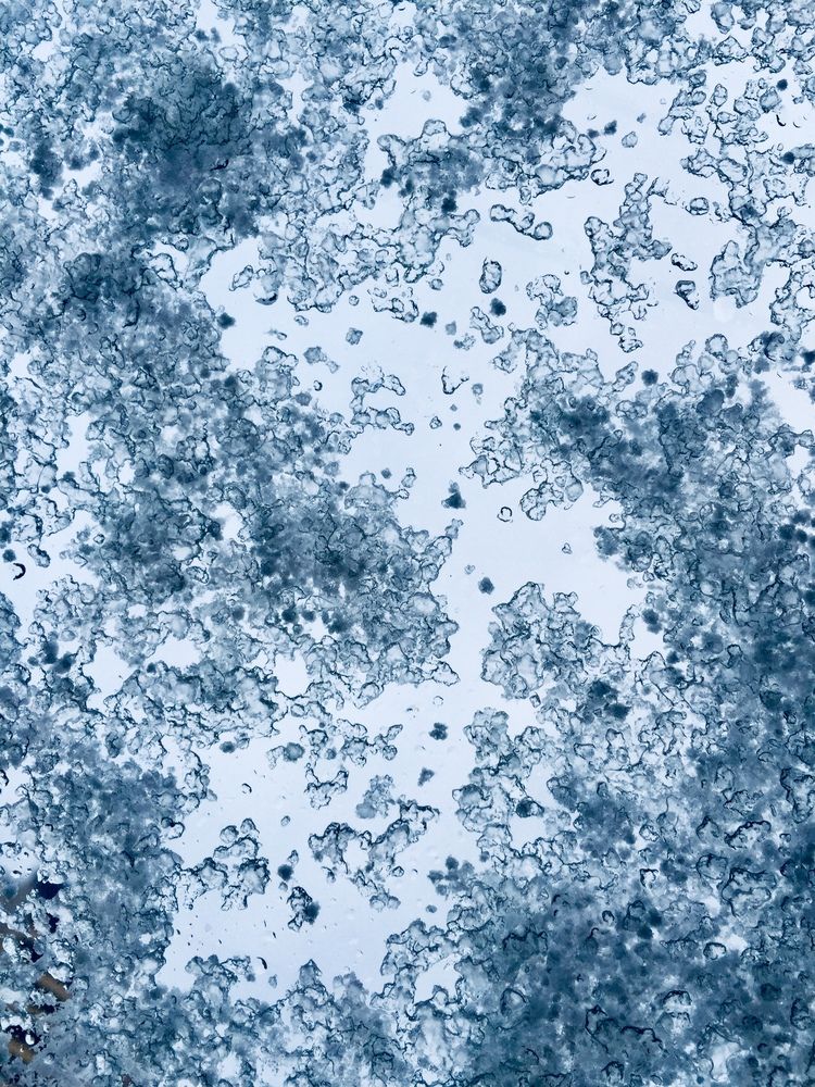 Photograph by Анастасия Лившиц