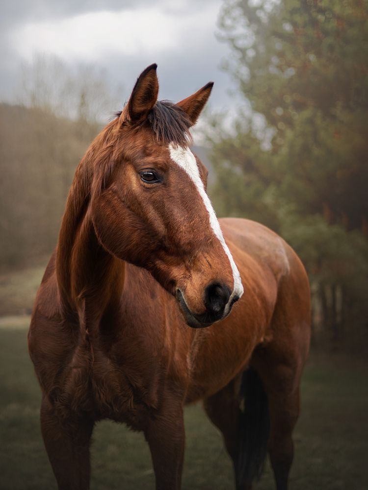 Фотография автора Dorota Hnatová