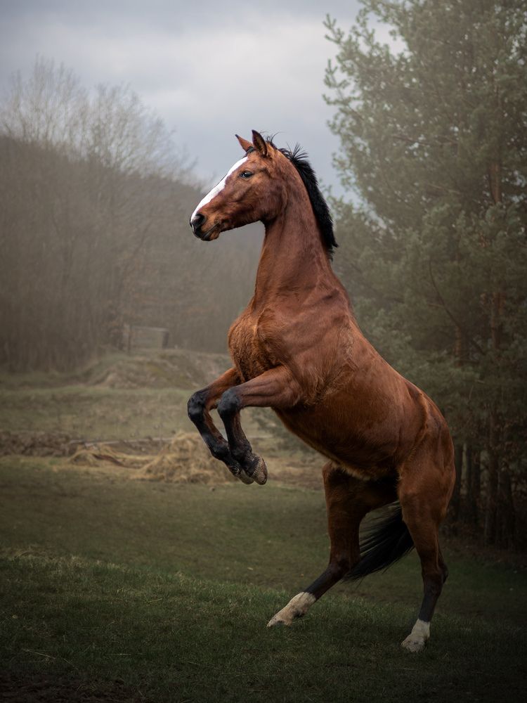 Фотография автора Dorota Hnatová