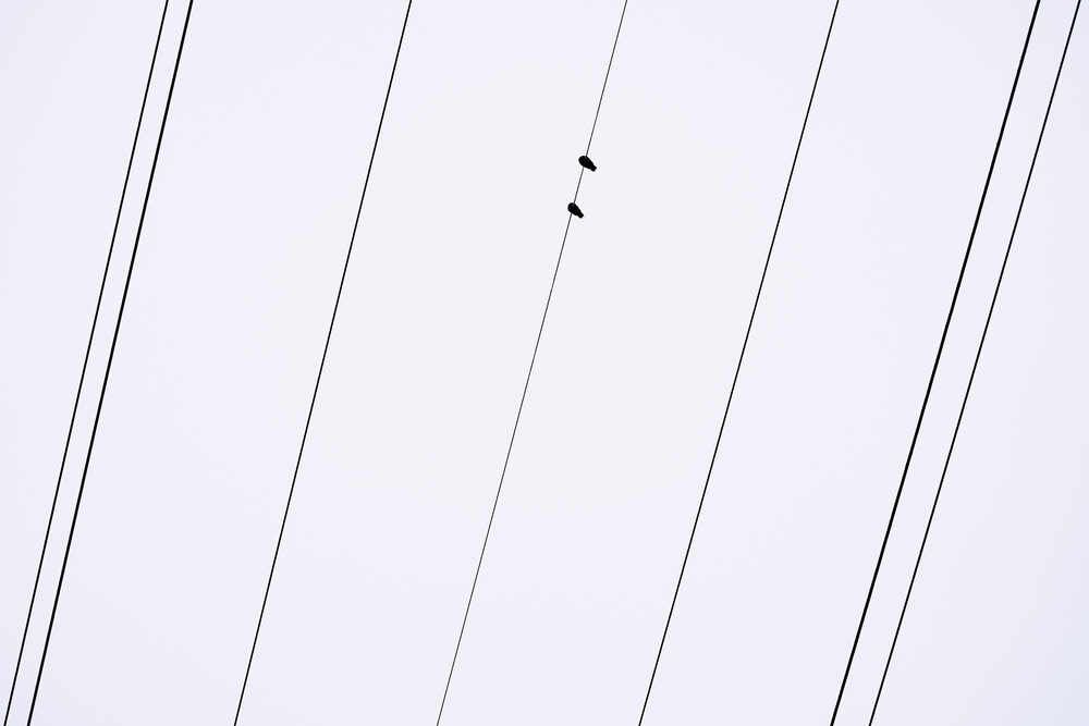 Photograph by Сергей Фадин