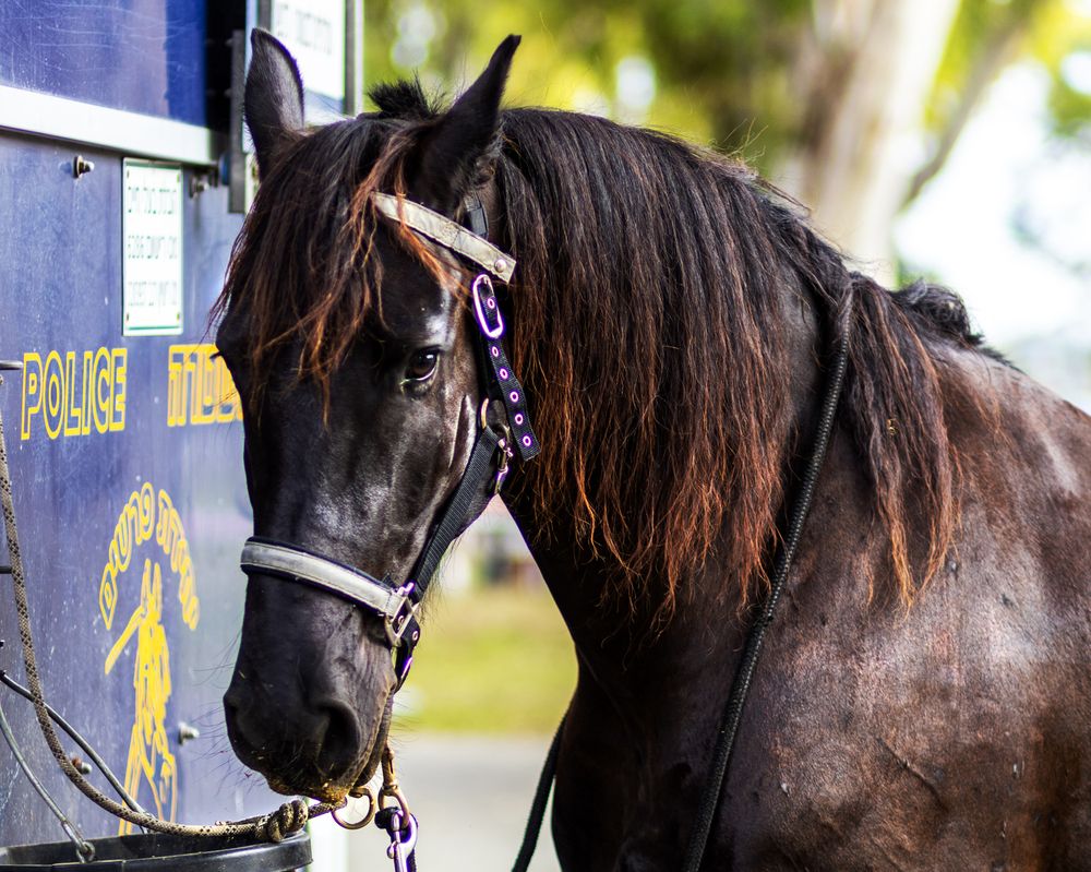 Photograph by Светлана Ханина