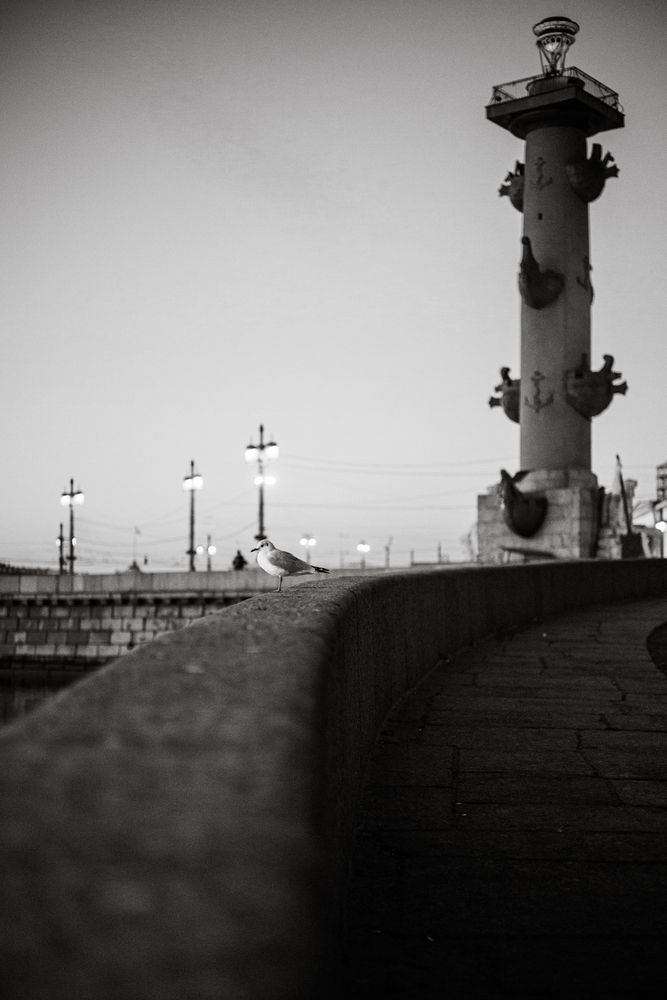 Photograph by Екатерина Воронина