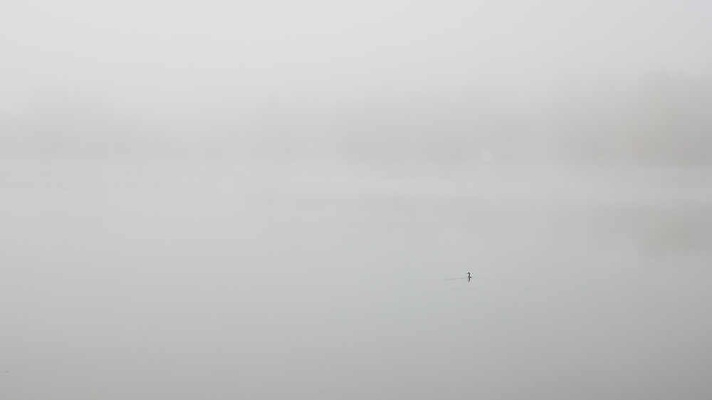 Photograph by Сергей Фадин