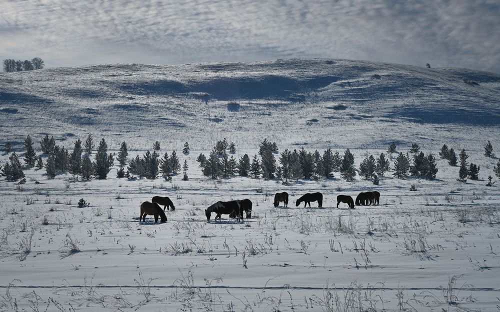 Фотография автора Inna Ivanova