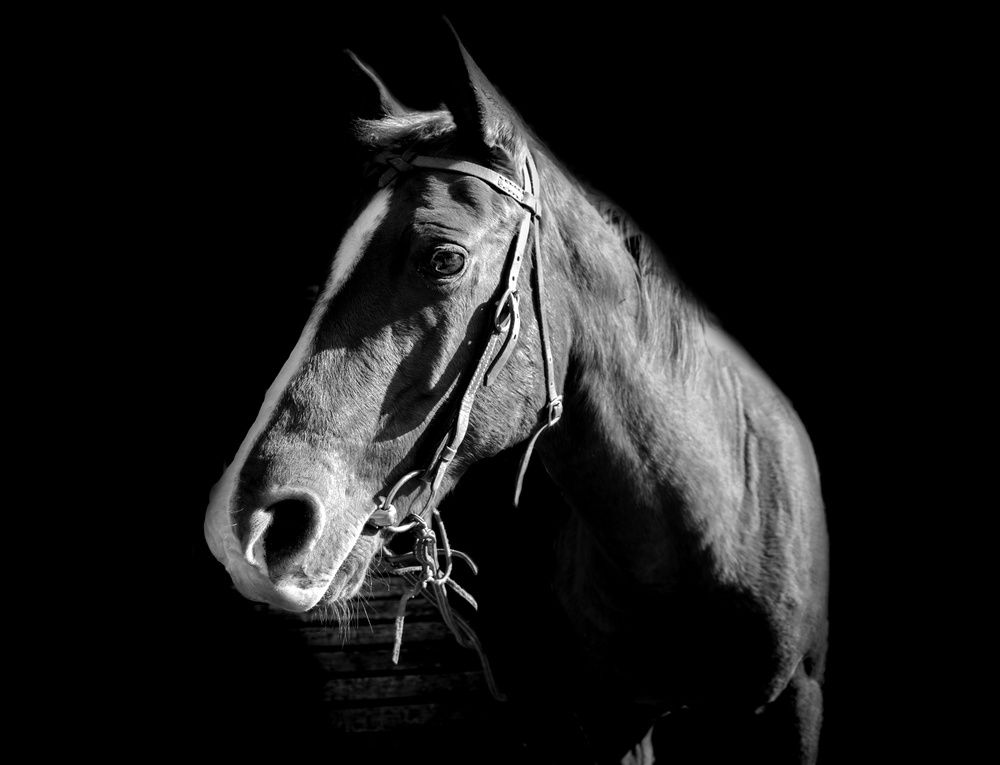 Photograph by Natalia Bondarenko