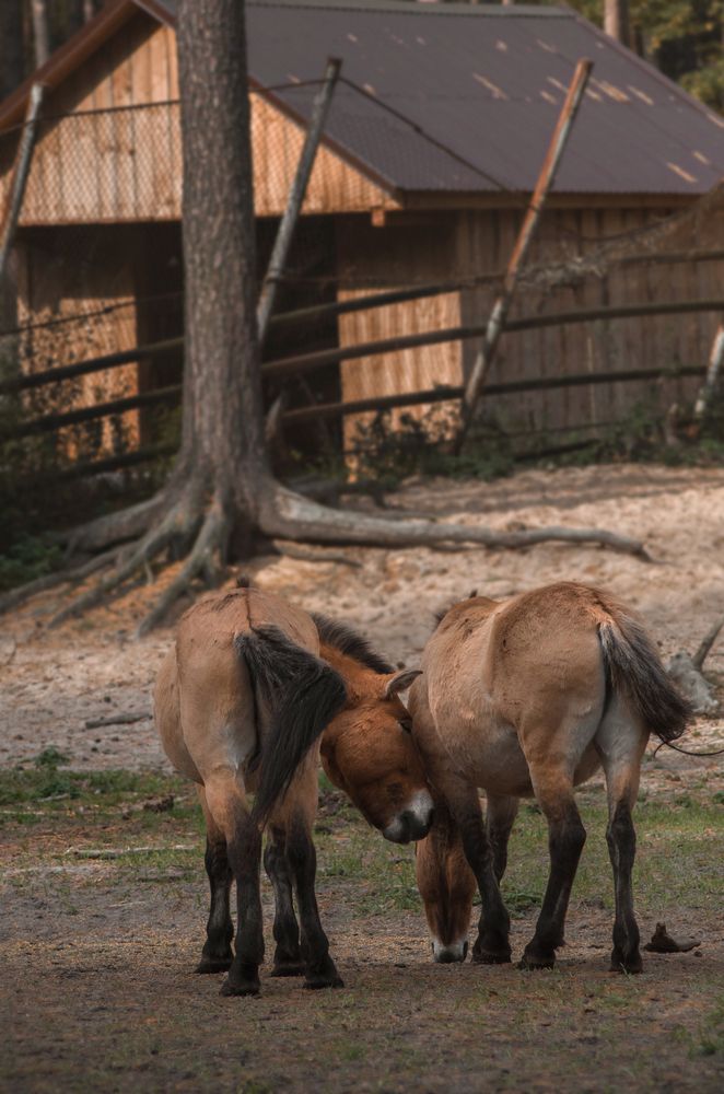 Photograph by Татьяна Бардак
