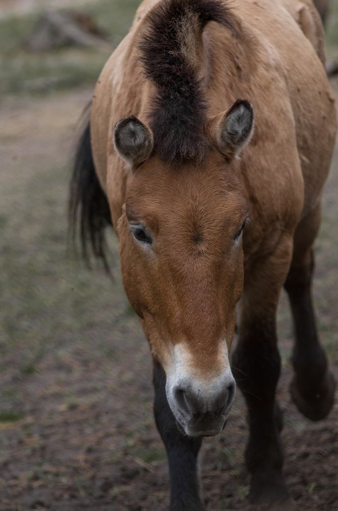 Photograph by Татьяна Бардак