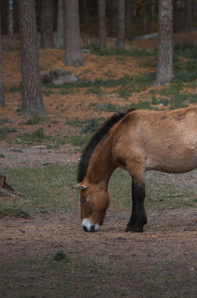 Photograph by Татьяна Бардак