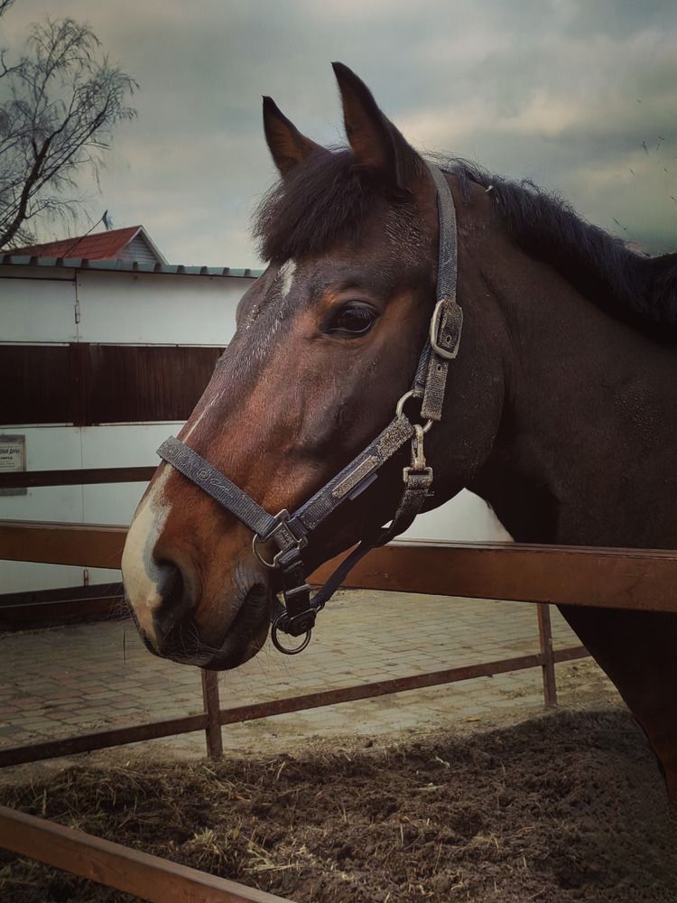 Фотография автора Татьяна