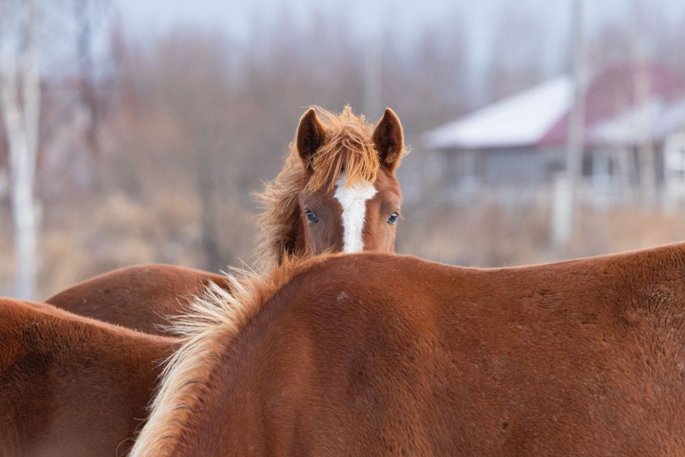 Photograph by Андрей Щербинин