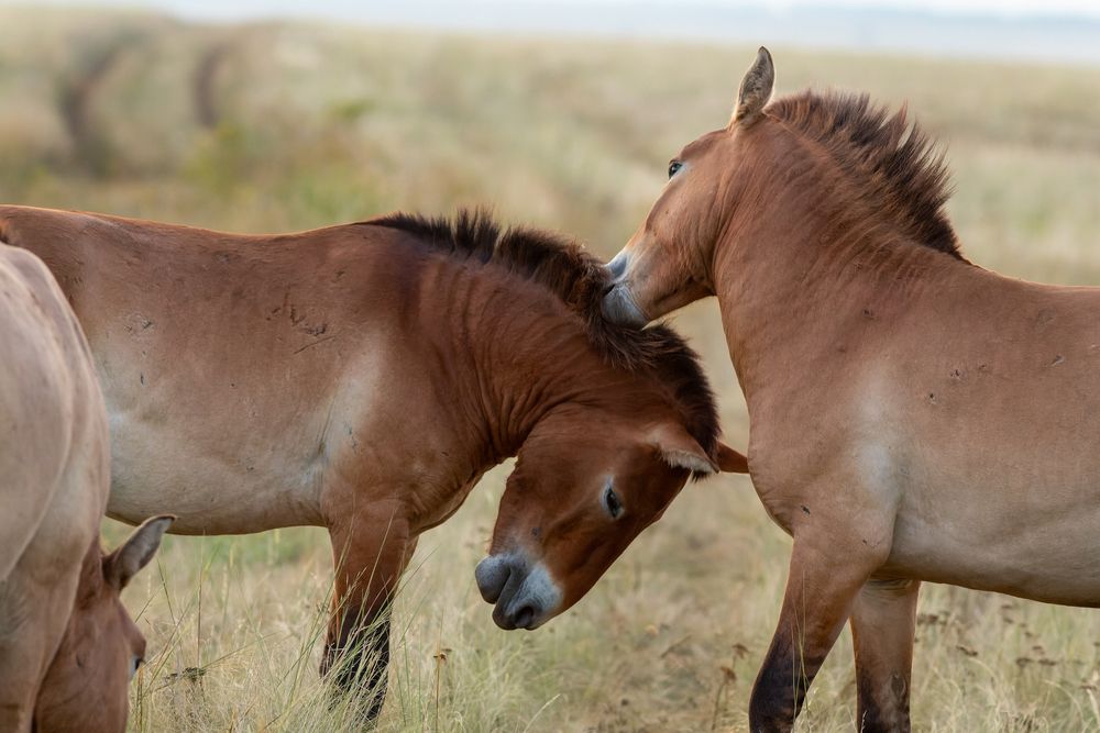 Photograph by Евгения Севрюкова
