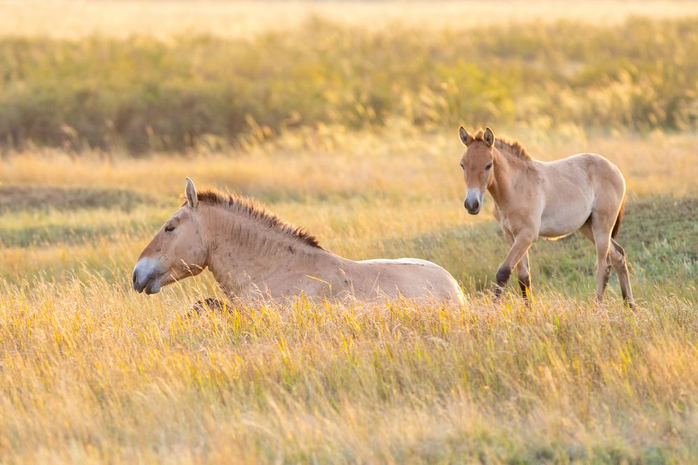 Photograph by Евгения Севрюкова