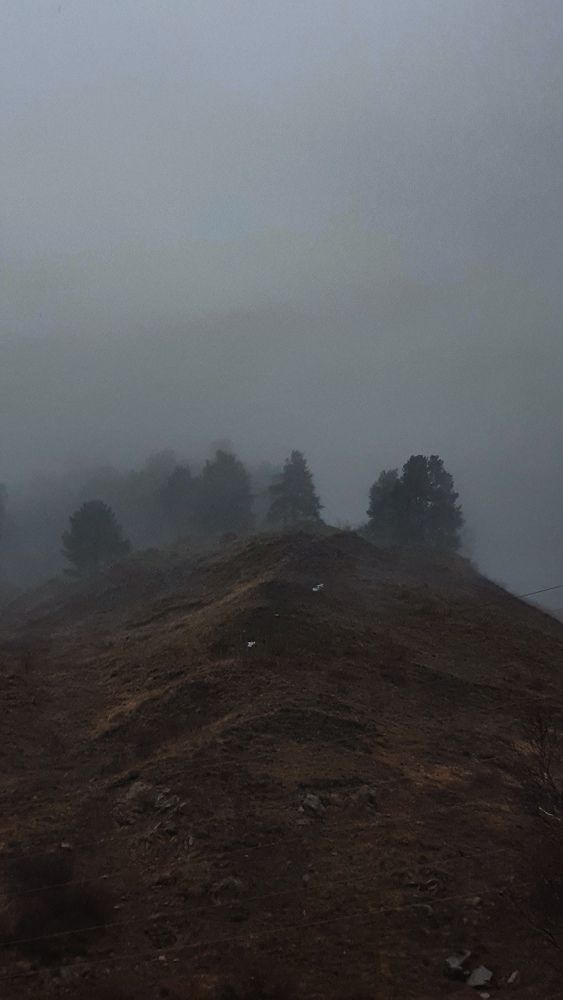 Photograph by Ольга Гетман