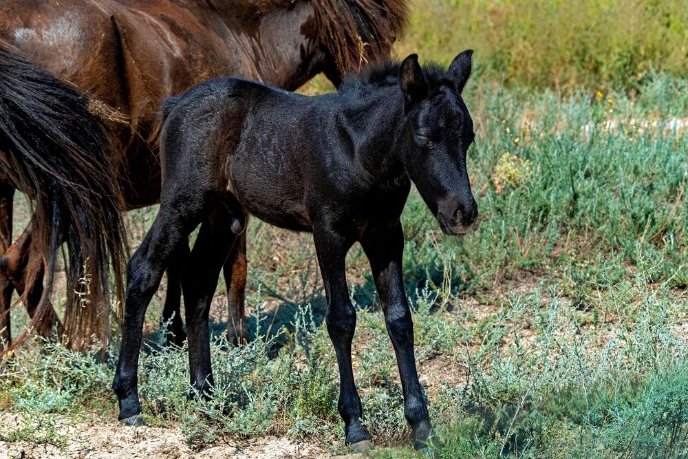 Photograph by Михаил Косолапов
