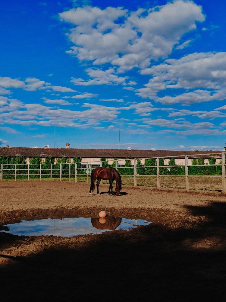 Photograph by Maria Stankevich