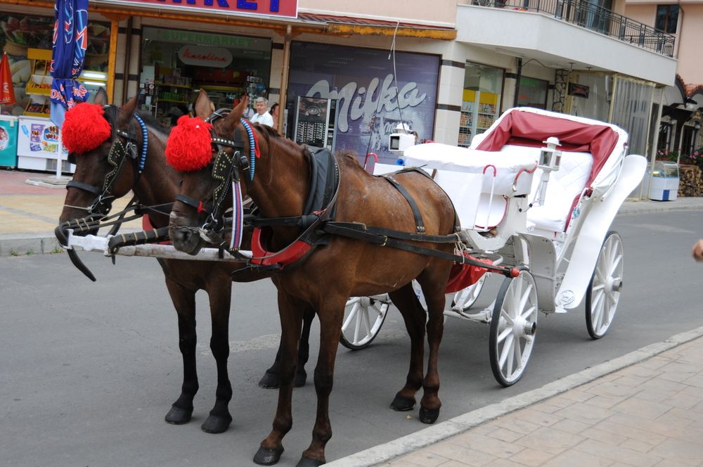 Photograph by Евгений Захаров