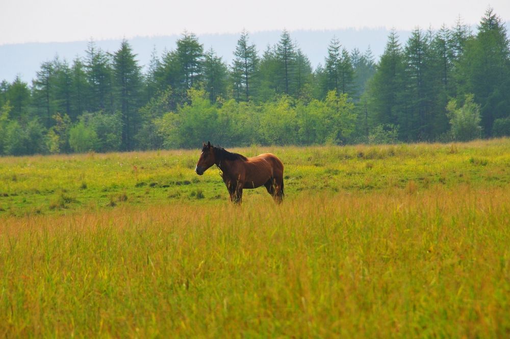 Photograph by Евгений Захаров