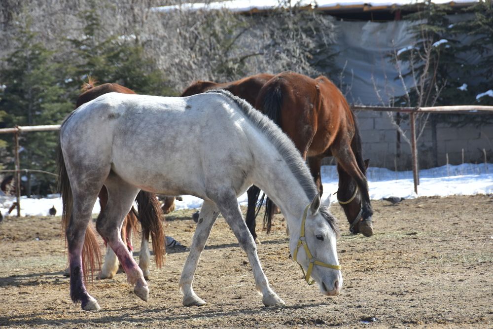 Photograph by Евгений Захаров