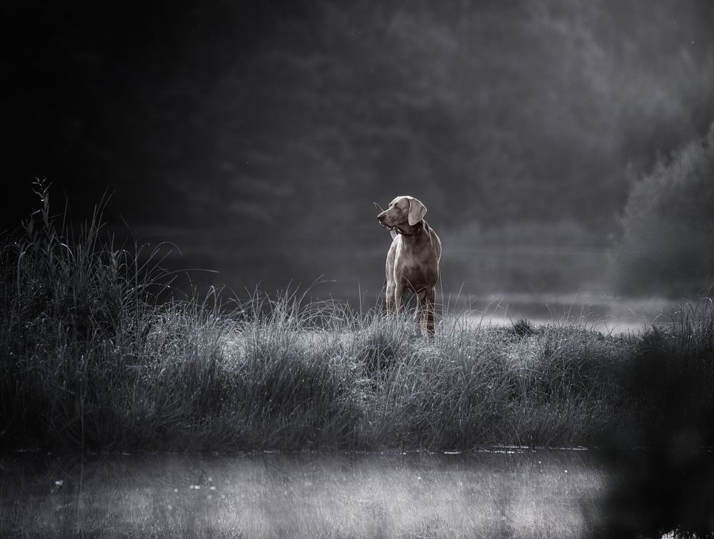Photograph by Наталия Ватутина