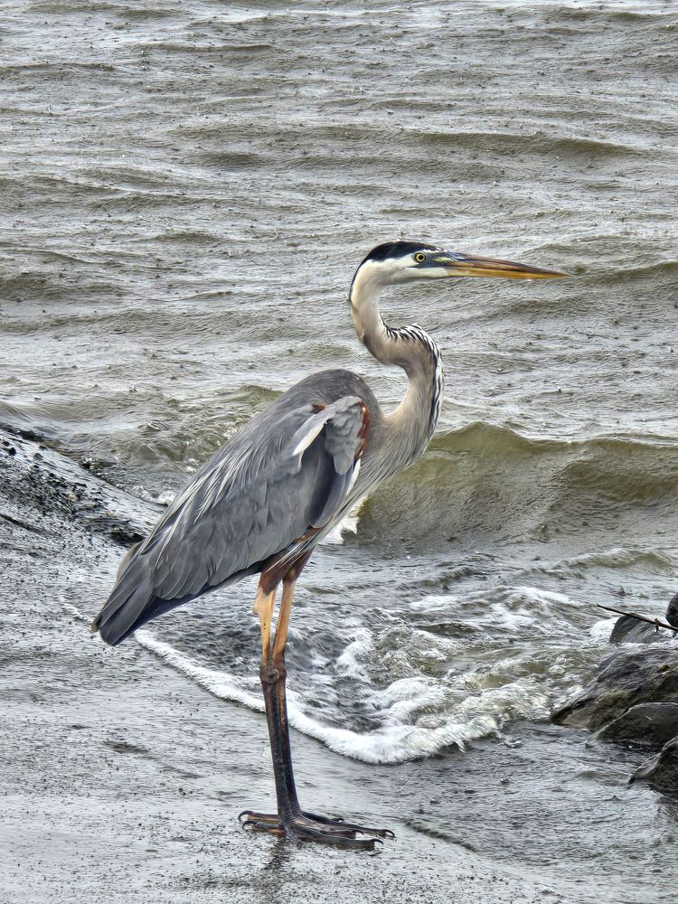 Фотография автора Jeff Cooley