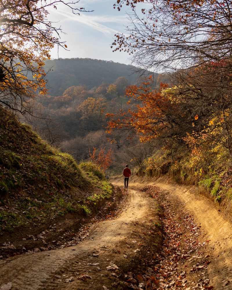 Autumn