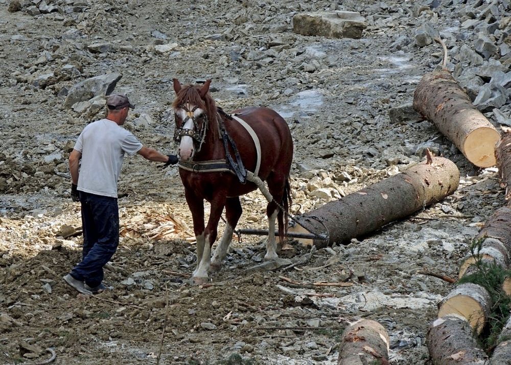 Photograph by Савоцкий Роман