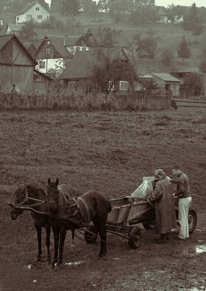 Фотография автора Роман Савоцкий