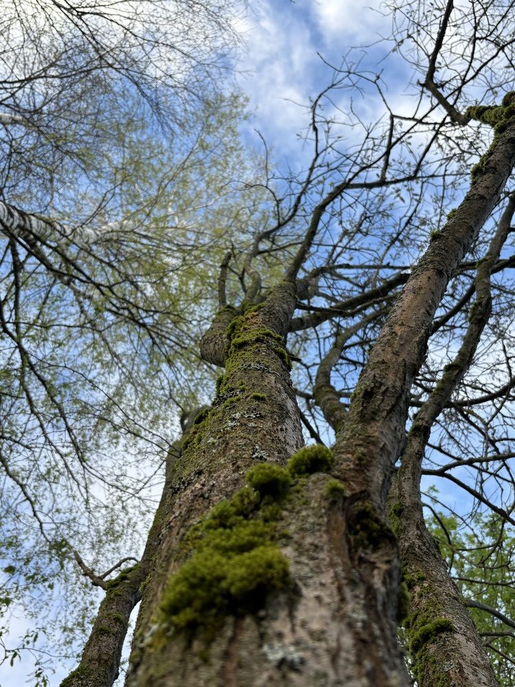 Photograph by Марина Харитонова