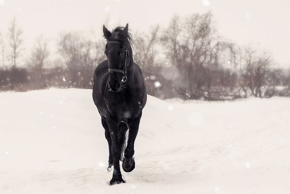 Photograph by Светлана Реунова