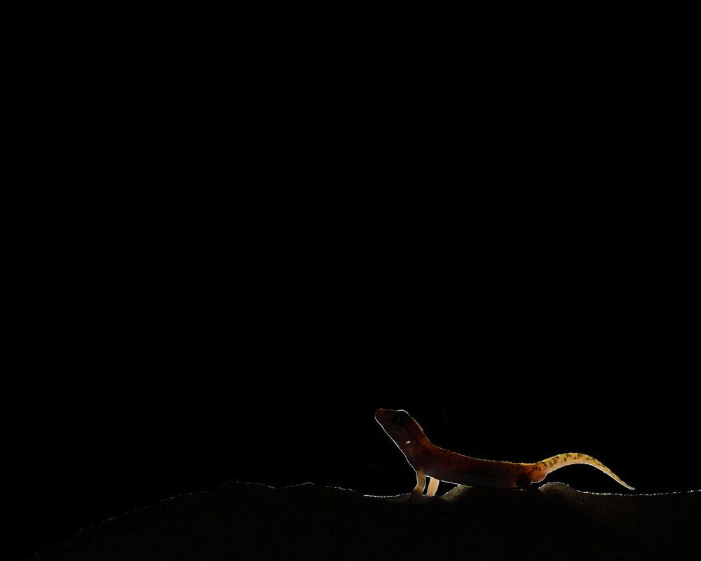 Photograph by Abhisek Bagaria