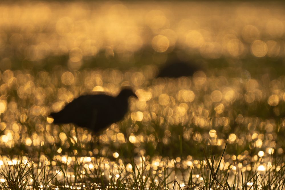 Photograph by Abhisek Bagaria
