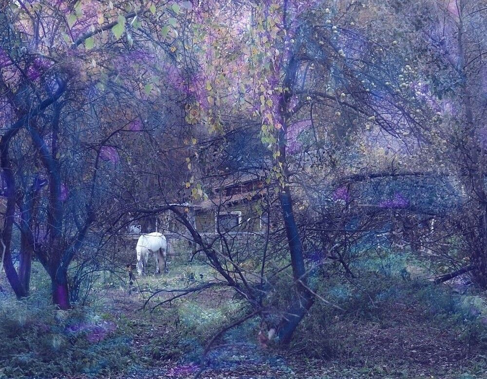 Photograph by Татьяна Пашинцева