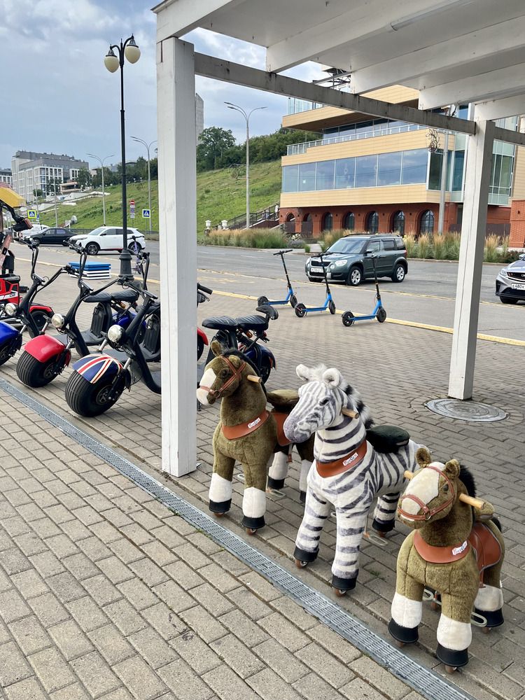 Photograph by Ирина Селиверстова