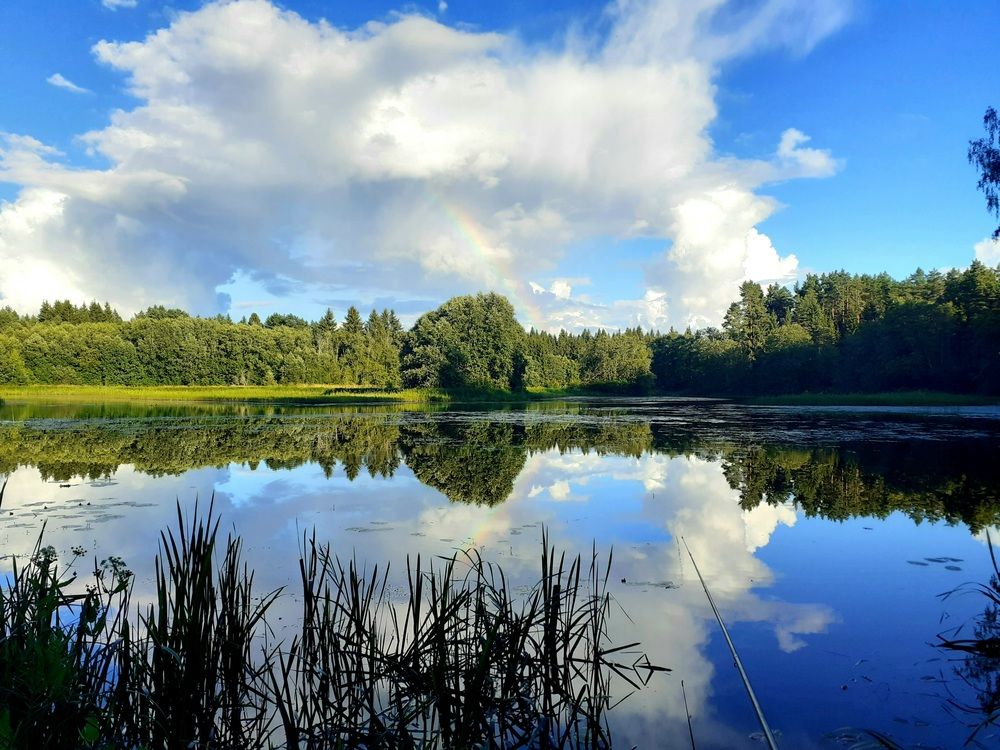 Photograph by Юрий Пучков