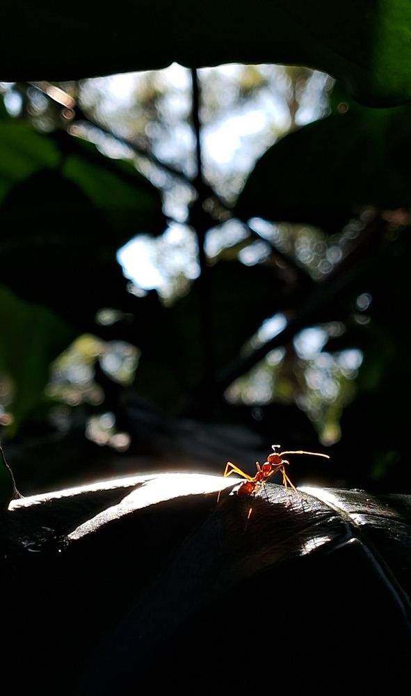 Photograph by Preetham Bharadwaj