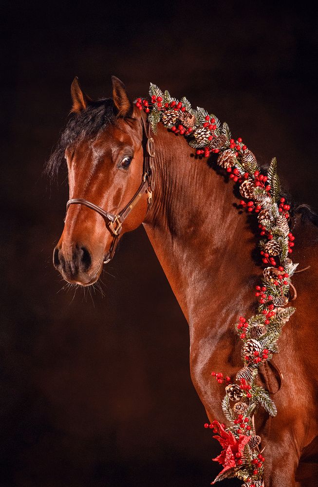 Photograph by Светлана Трушева