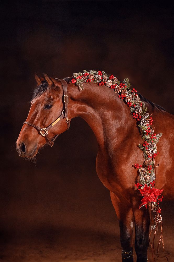 Photograph by Светлана Трушева