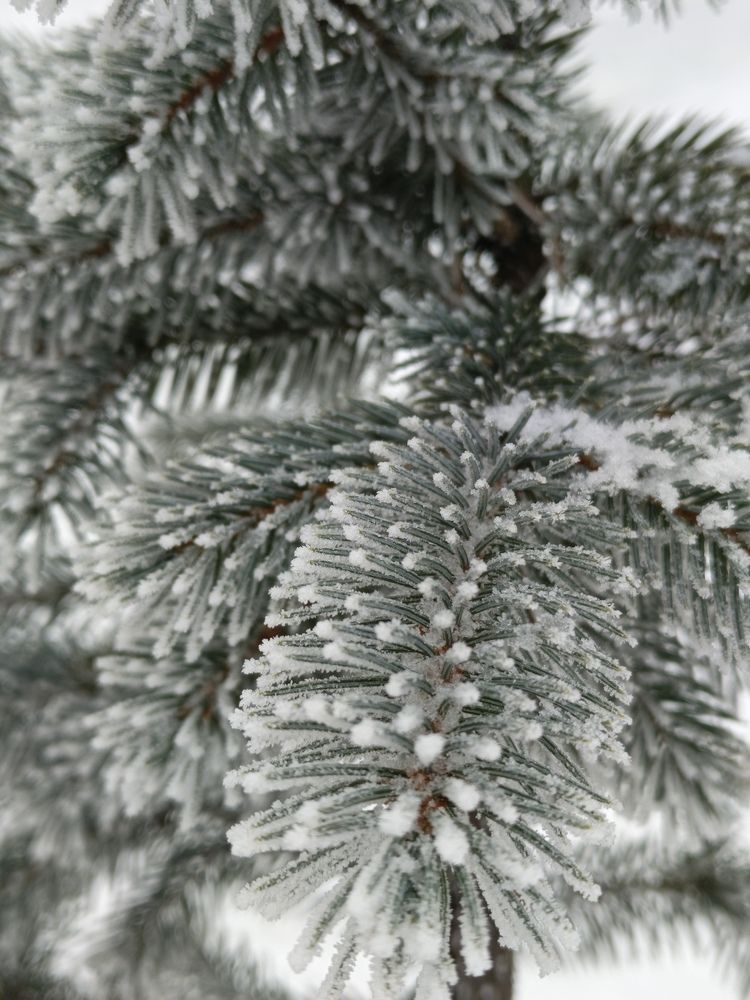 Photograph by Владимир Сушкин