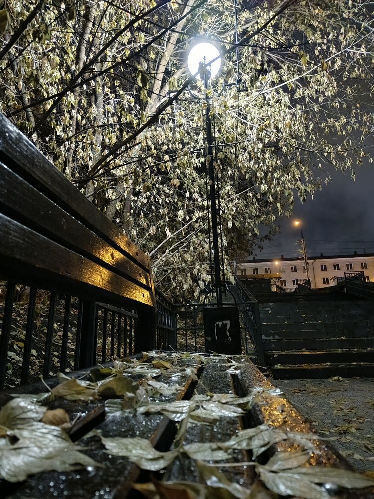 Photograph by Владимир Сушкин