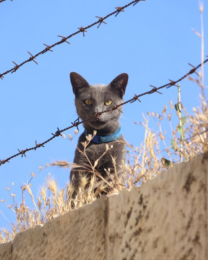 Photograph by Светлана Ханина