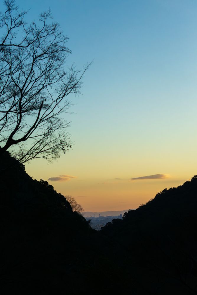 A Glimpse of the Distant Horizon