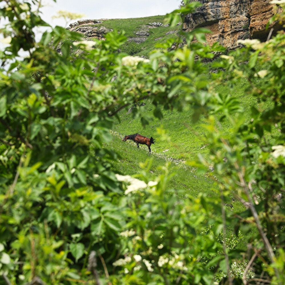 Фотография автора G Shish