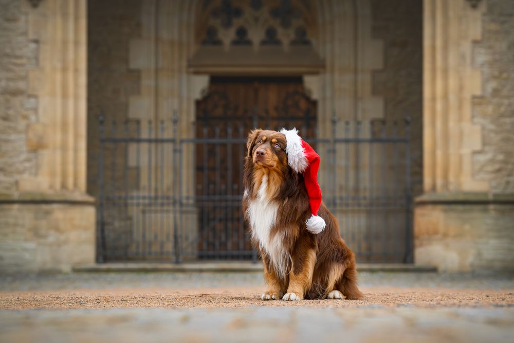 Photograph by Lucie Nermuťová
