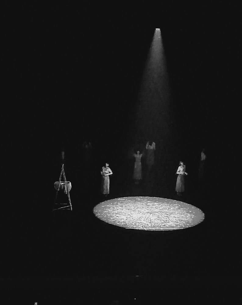 Фотография автора Catherine Shashkova