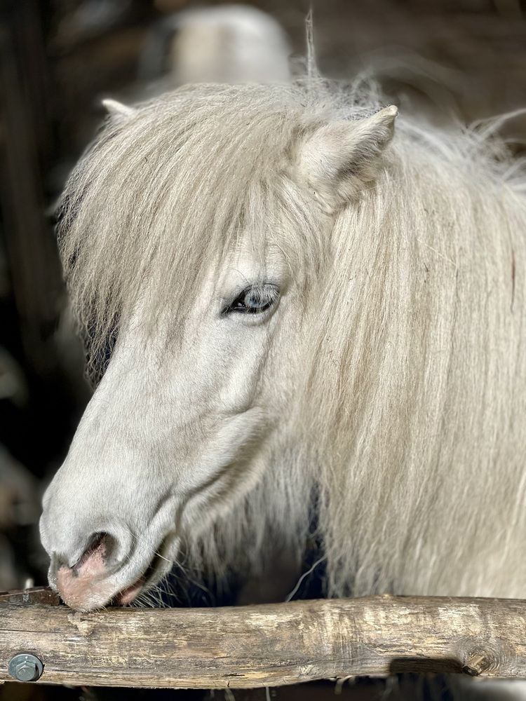 Фотография автора Nadezhda