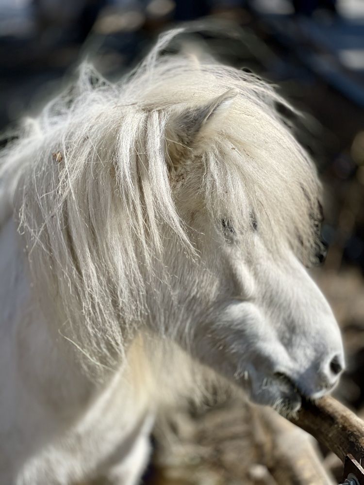 Фотография автора Nadezhda