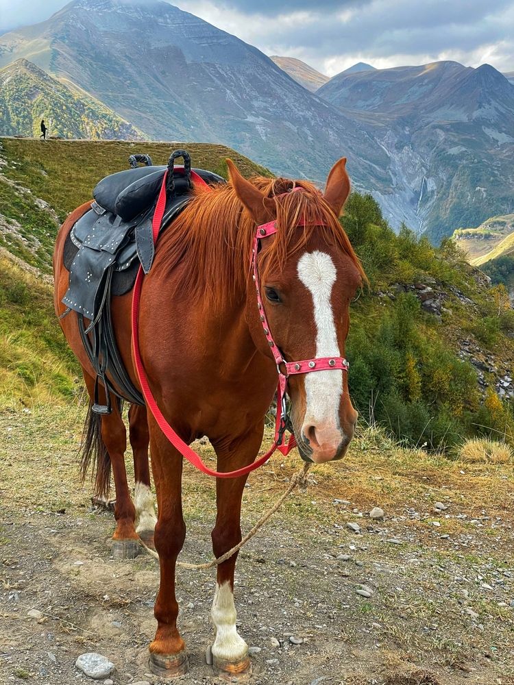 Фотография автора Nadezhda